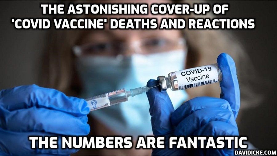 Pilots Injured by ‘Covid’ Fake Vaccines Speak Out: ‘I Will Probably Never Fly Again’