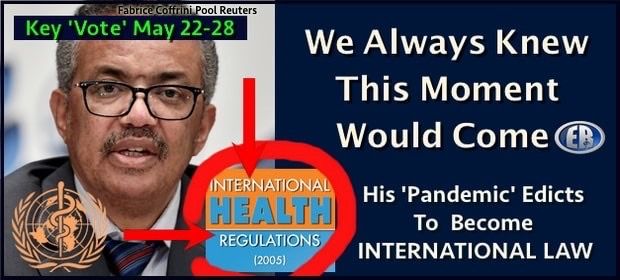 Call To Action: The World Health Organization Is Taking Away National Sovereignty
