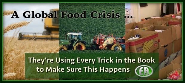 The Global Food Catastrophe, Caused By Political Sabotage