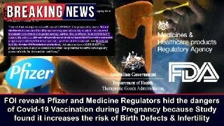 FOI reveals Pfizer and Medicine Regulators hid the dangers of Covid-19 Vaccination during Pregnancy because Study found it increases risk of Birth Defects & Infertility