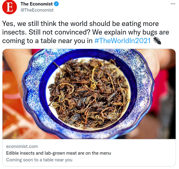 Let Them Eat Bugs… How Out of Touch Elites Reveal Their Contempt and What Comes Next