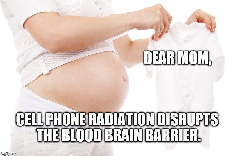 Electromagnetic field exposure and Pregnancy Risks