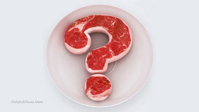 Lab-cultured, GMO-laden fake "meat" is a toxic abomination to be avoided at all costs