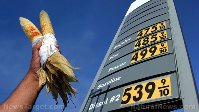 Biden regime mandates more corn ethanol in gasoline to damage the engines of cars and trucks across America