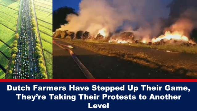 Dutch Farmers Have Stepped Up Their Game, They’re Taking Their Protests to Another Level